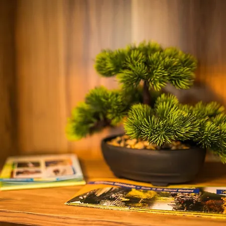 Luxury In Center Spišská Nová Ves