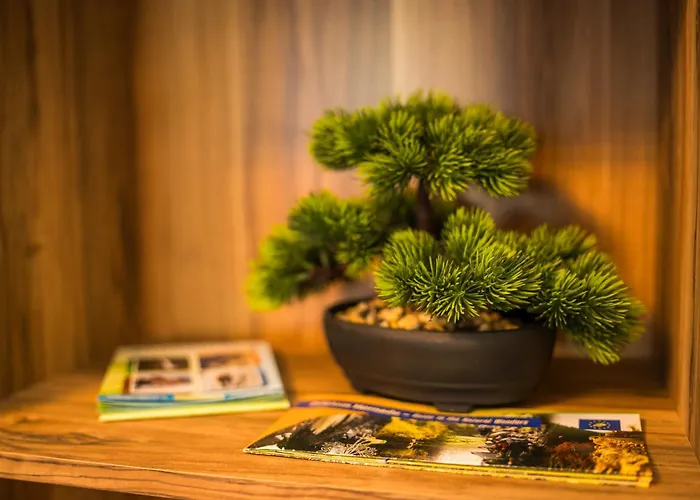 Luxury In Center Spišská Nová Ves