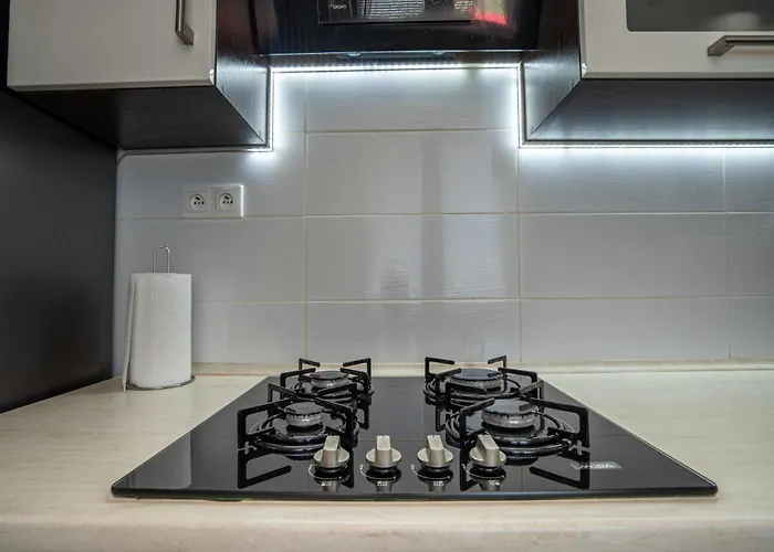 Luxury In Center Daire *